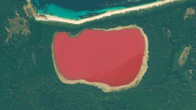 Lago Hiller, il paradiso rosa che sfida la logica e incanta il mondo