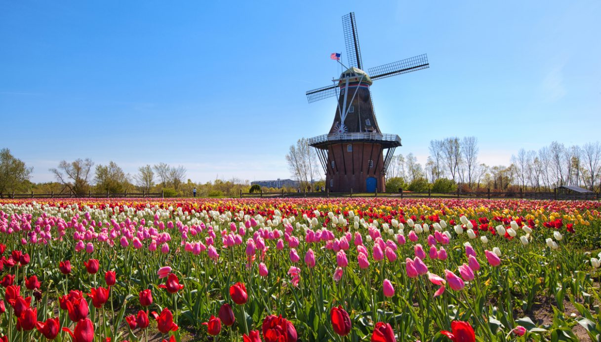Mulino Holland Michigan