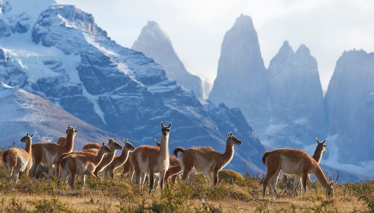 Parco Nazionale Torres del Paine