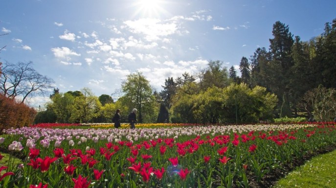 Cosa fare nel weekend? Queste sagre a tema primavera sono imperdibili