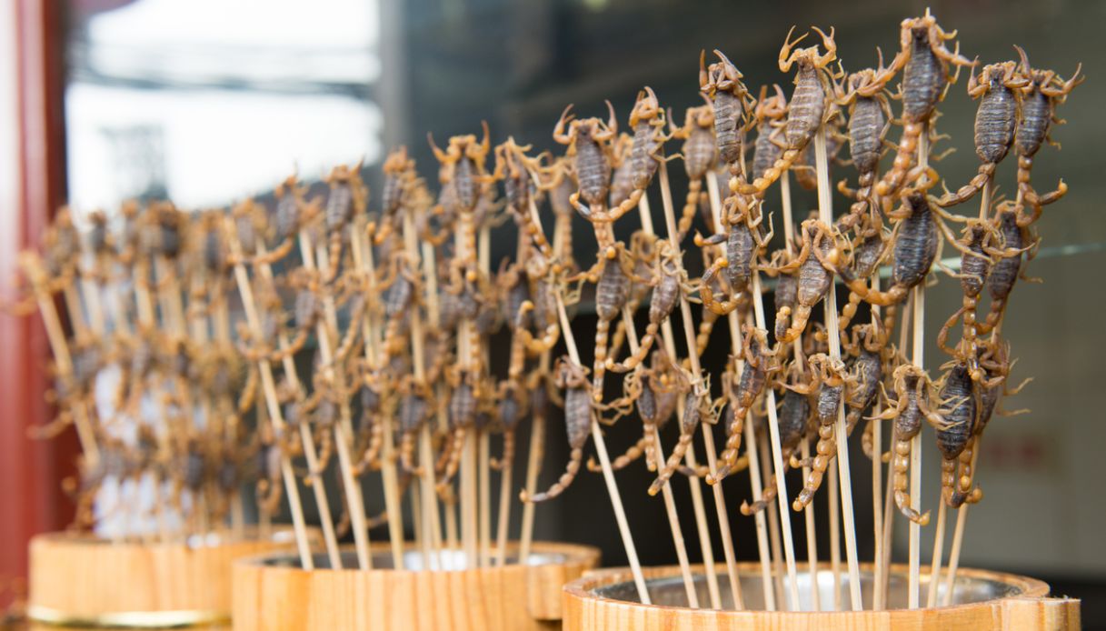 Spiedini di scorpioni fritti