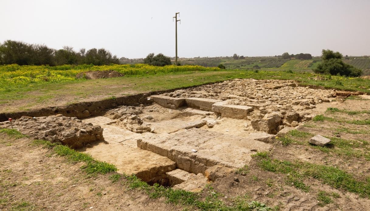 Com'era la struttura dell’antica Selinunte