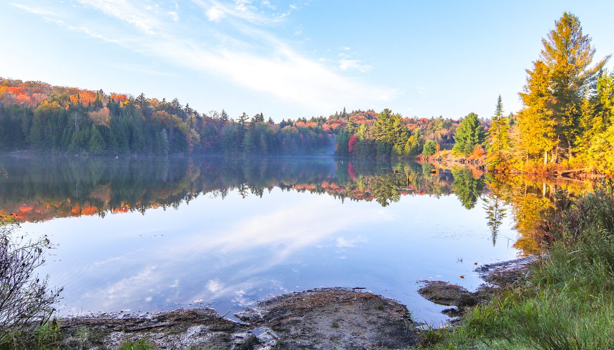 Algonquin Park