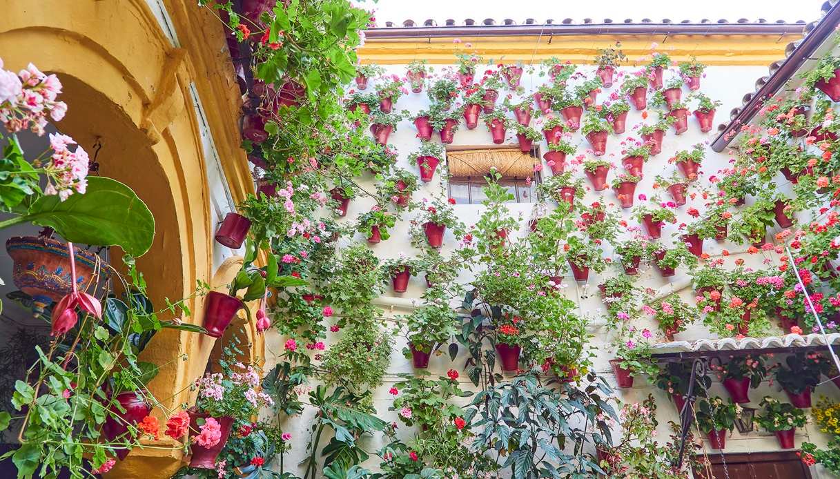 Patios di Cordova in fiore, anche durante la Semana Santa 2025