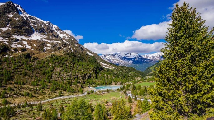 Dolomiti di Brenta: spettacolo tra guglie di roccia e laghi incantati