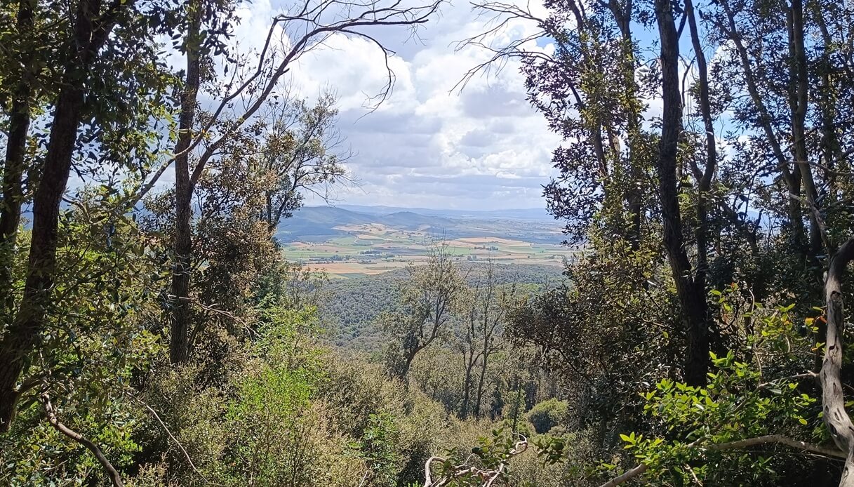 Panorama Maremma
