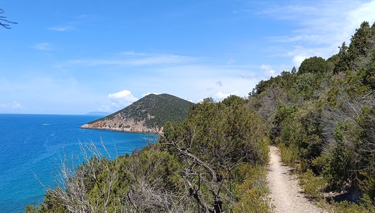 Sentiero verso Salto del Cervo Parco della Maremma Toscana
