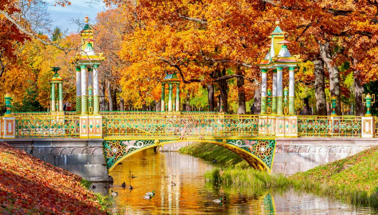 san pietroburgo autunno