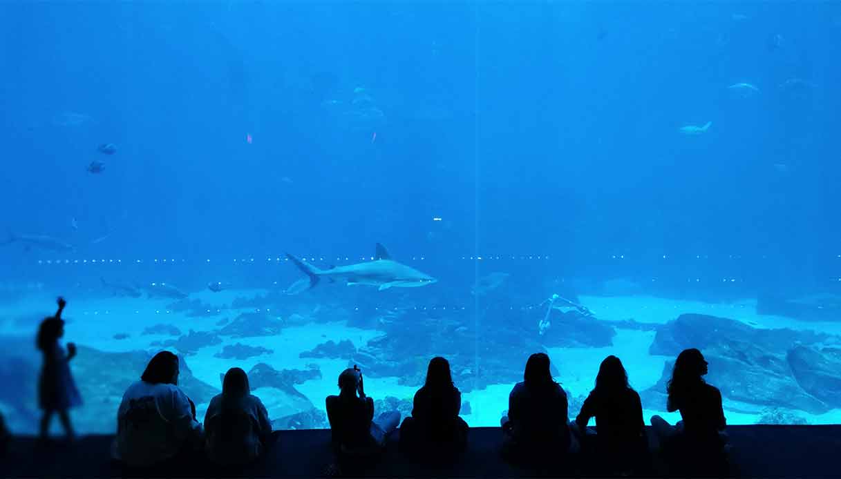 acquario-atlanta