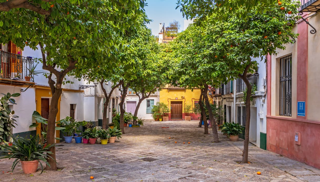 Strada con alberi e case, Siviglia