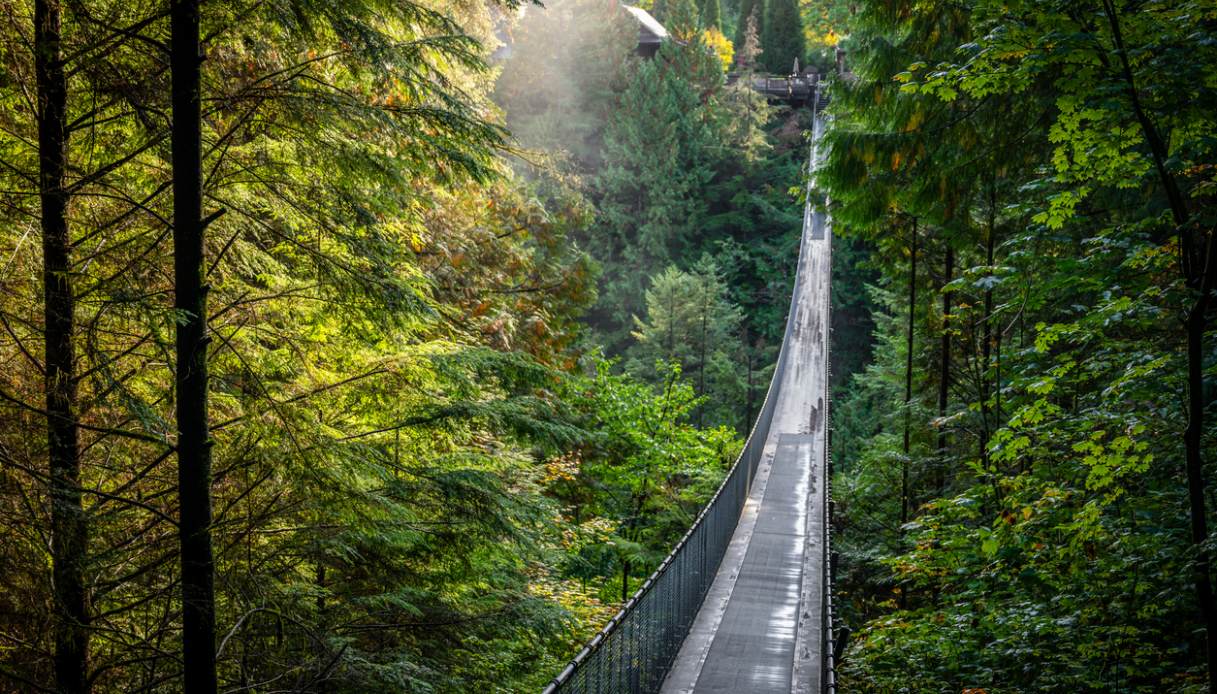 capilano