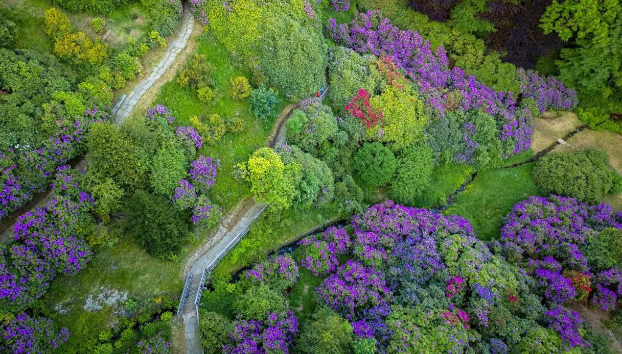 Conca dei Rododendri, Oasi Zegna