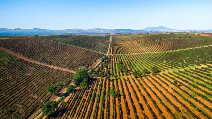 Un viaggio tra storia e sapori, nel cuore della Basilicata