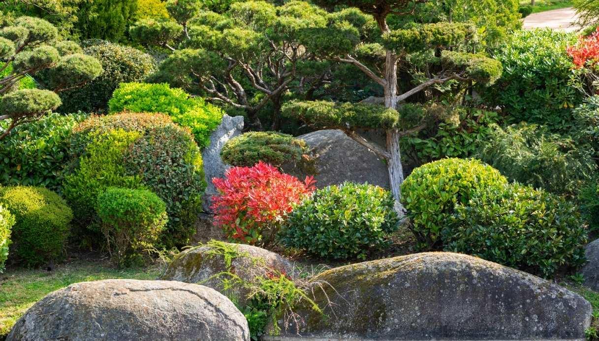 giardino giapponese di Tolosa meditazione