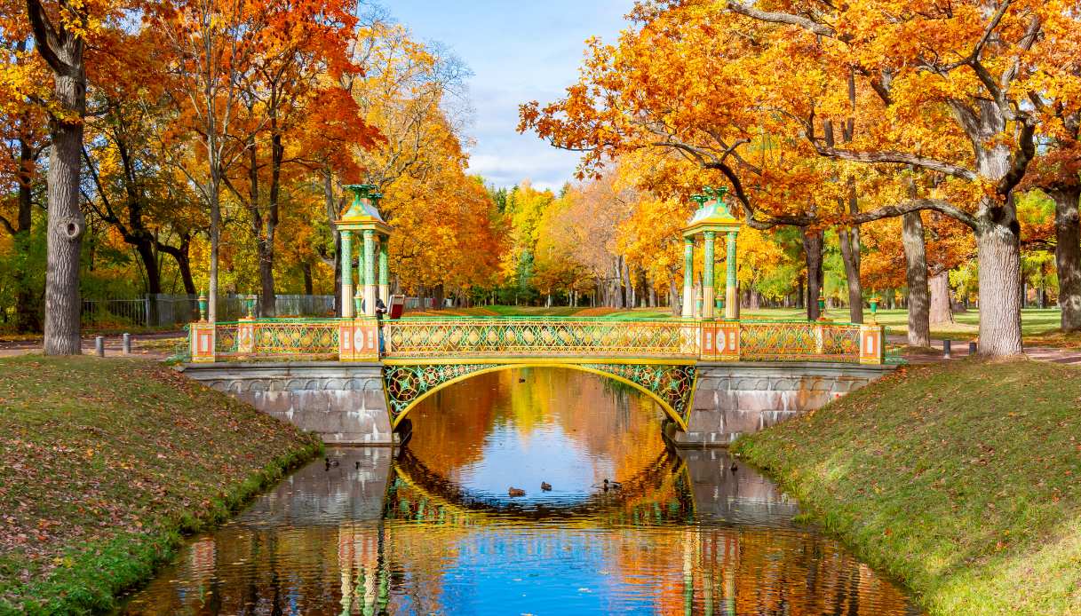 Autunno in un parco a San Pietroburgo