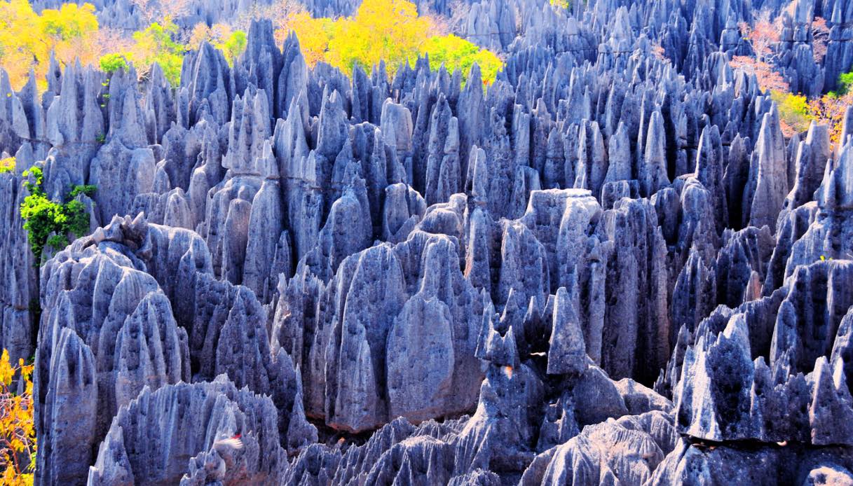 Tsingy de Bemaraha