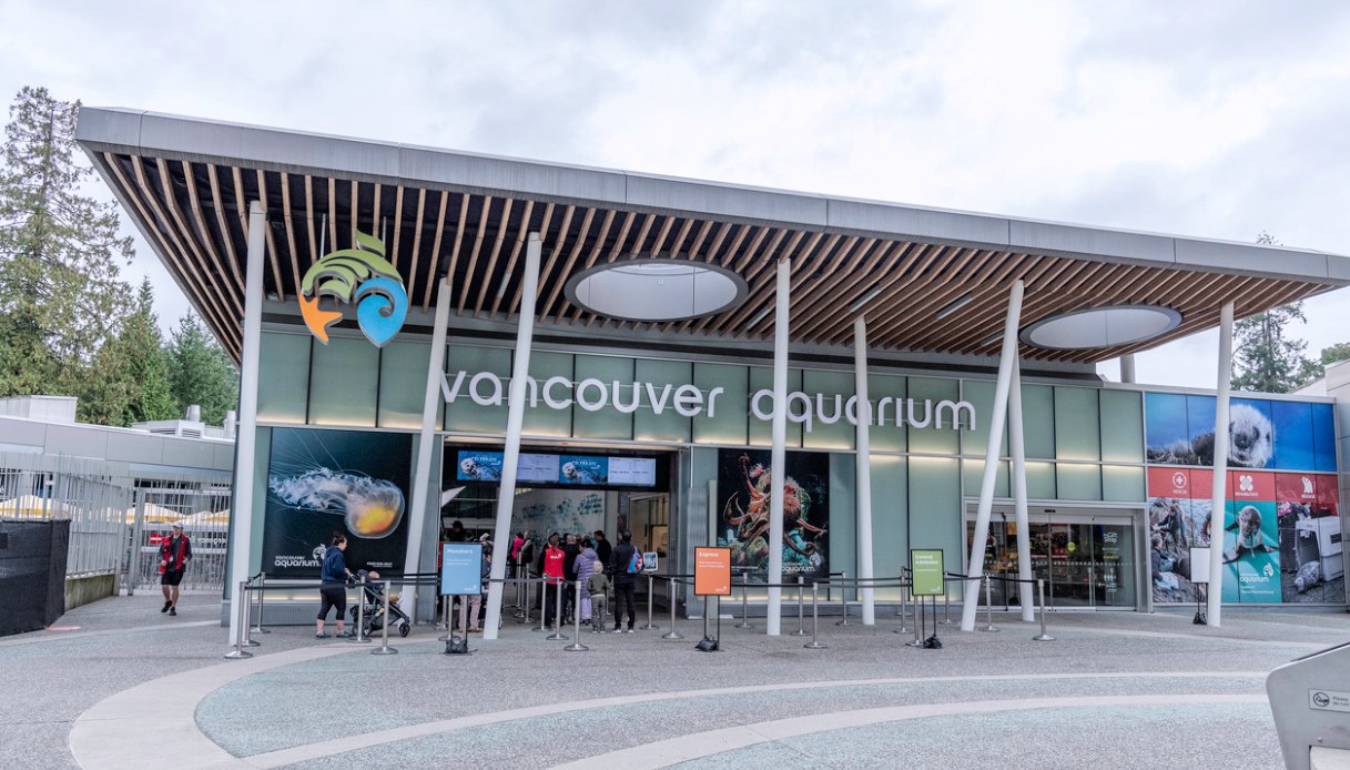 vancouver aquarium