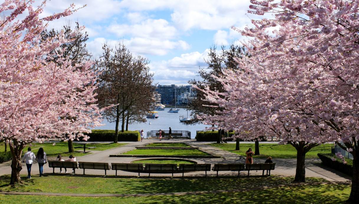 vancouver primavera