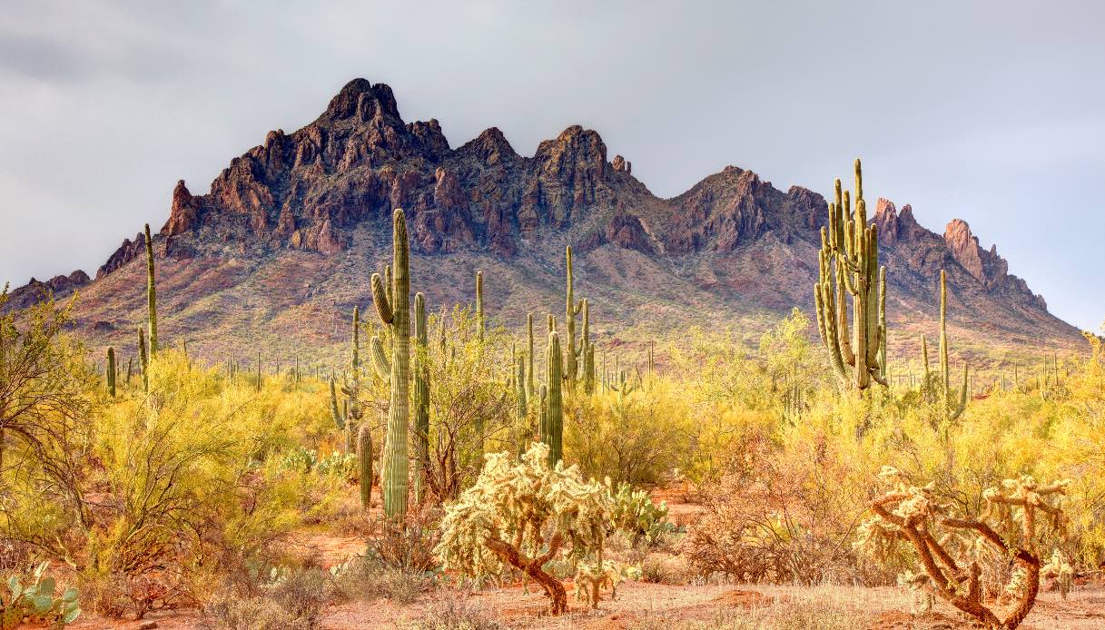 Arizona