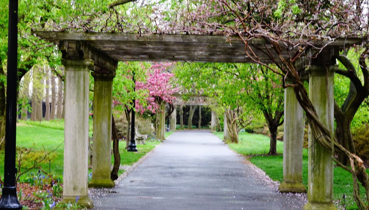 Brooklyn Botanic Garden