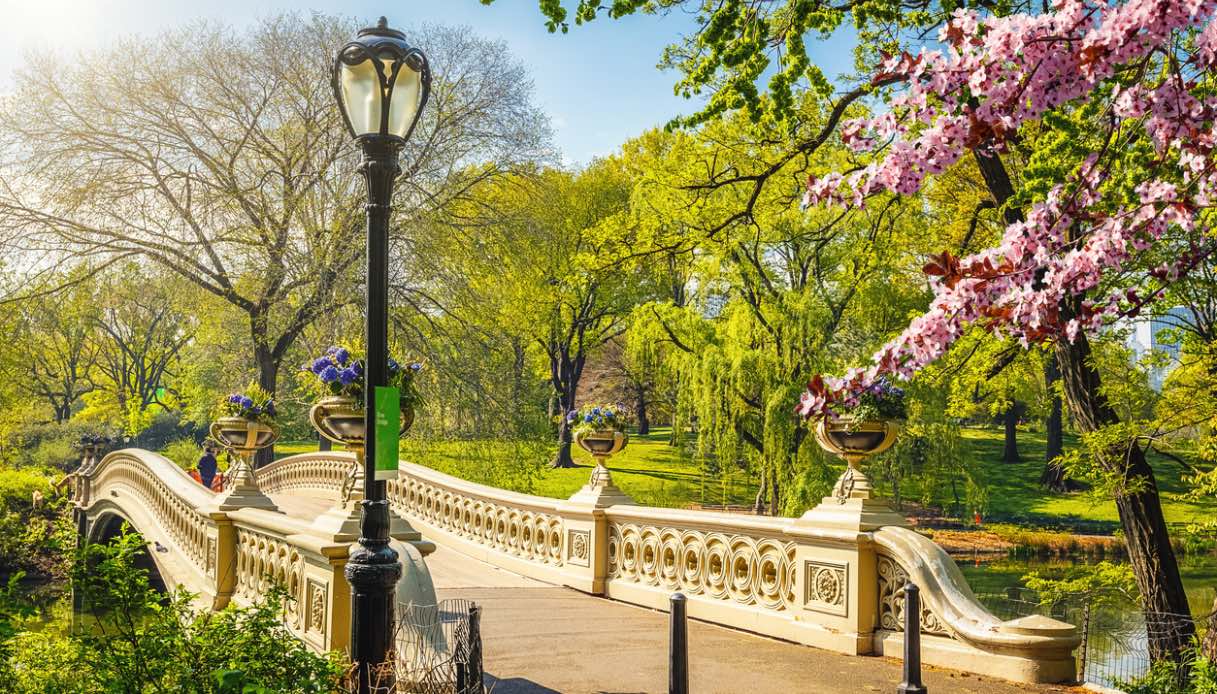 Central Park