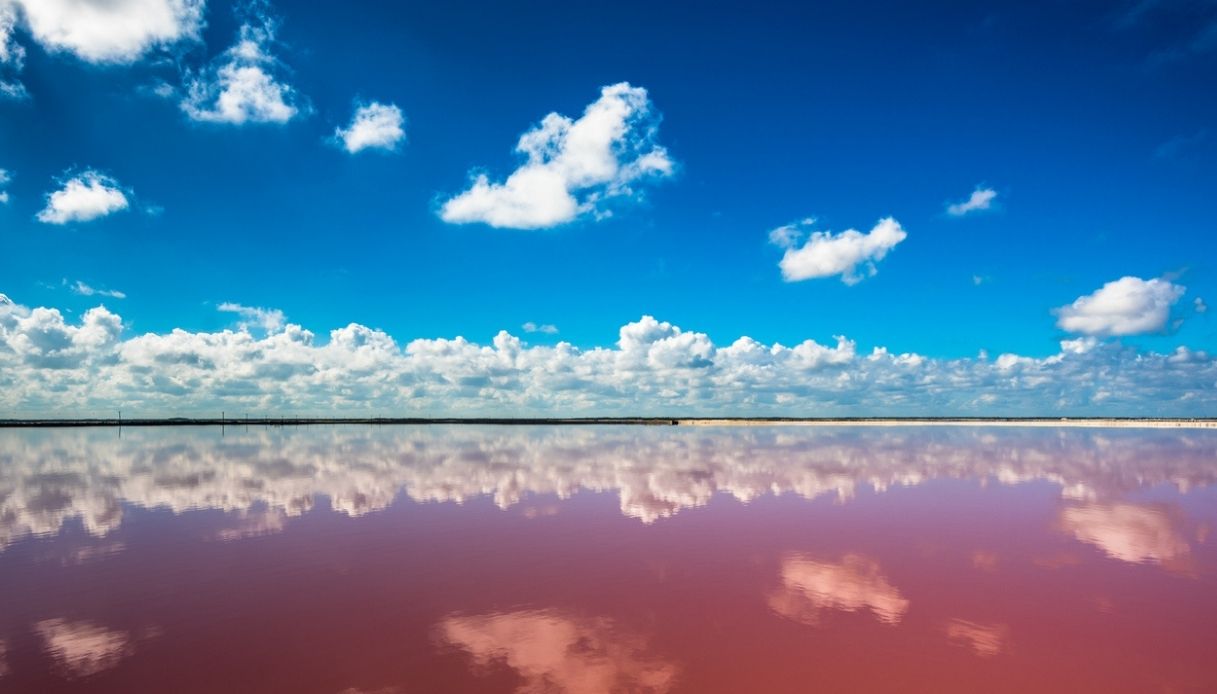 Las Coloradas e le acque rosa della laguna