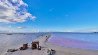 Las Coloradas, un viaggio tra lagune rosa e sogni tropicali