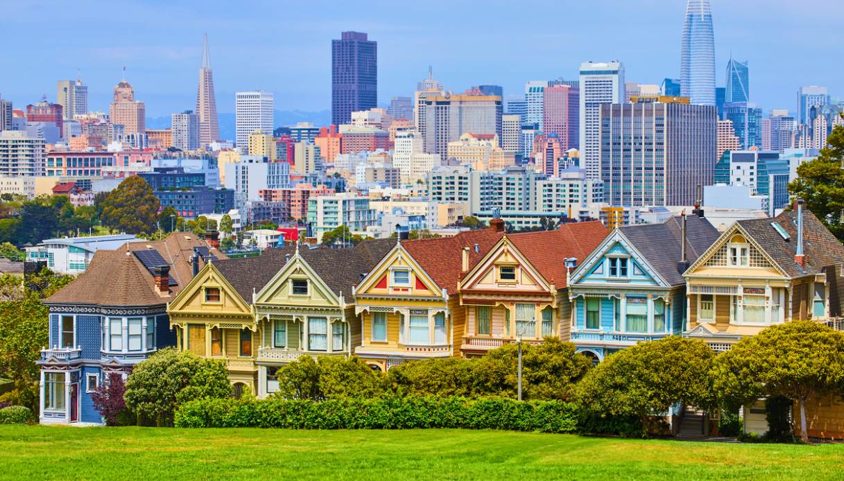 painted ladies