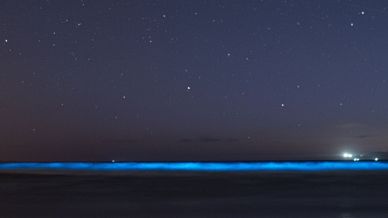 Praia de Carnota, la spiaggia della Galizia dove il mare è “pieno di stelle”