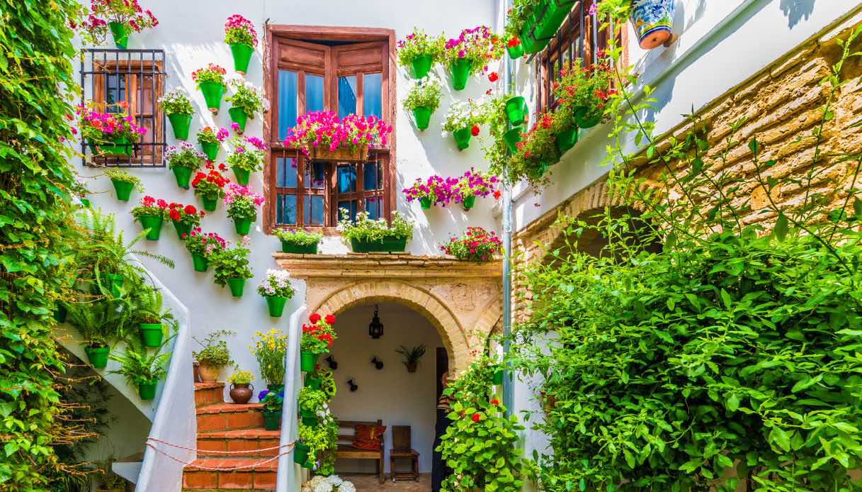 Patios tipico di Cordoba