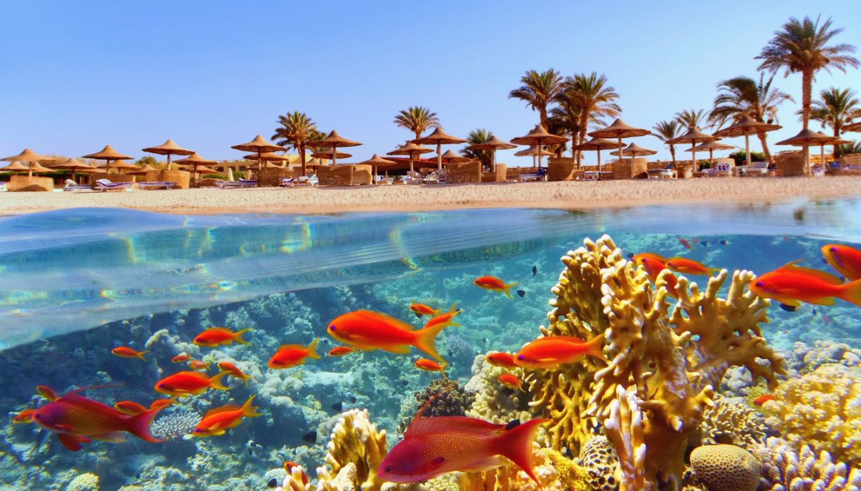 Barriera corallina a Hurghada