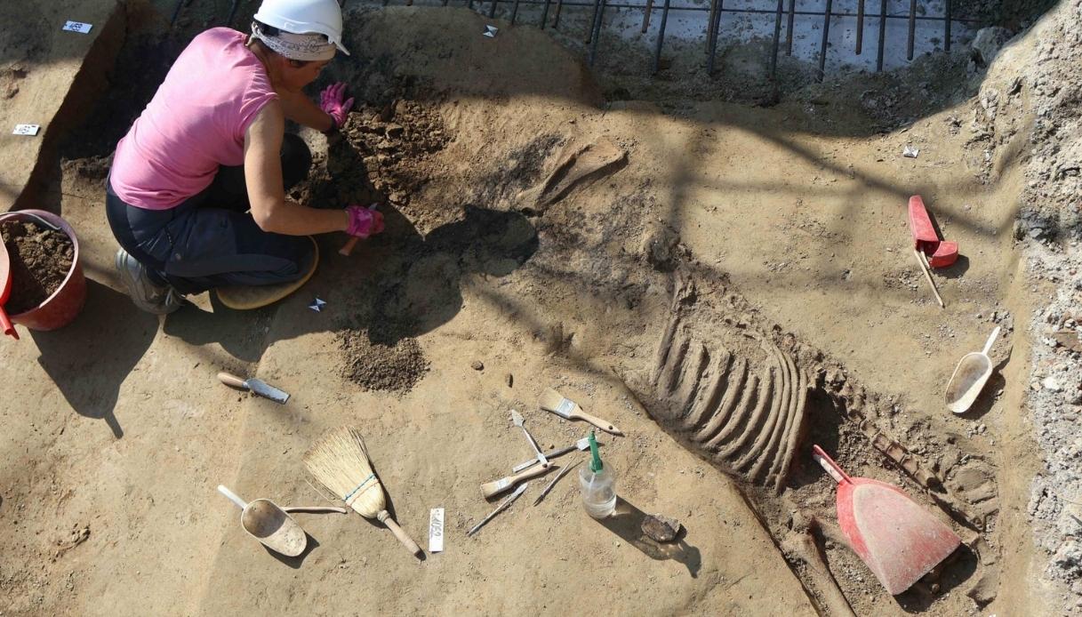 Padova necropoli scoperta durante scavi universitari