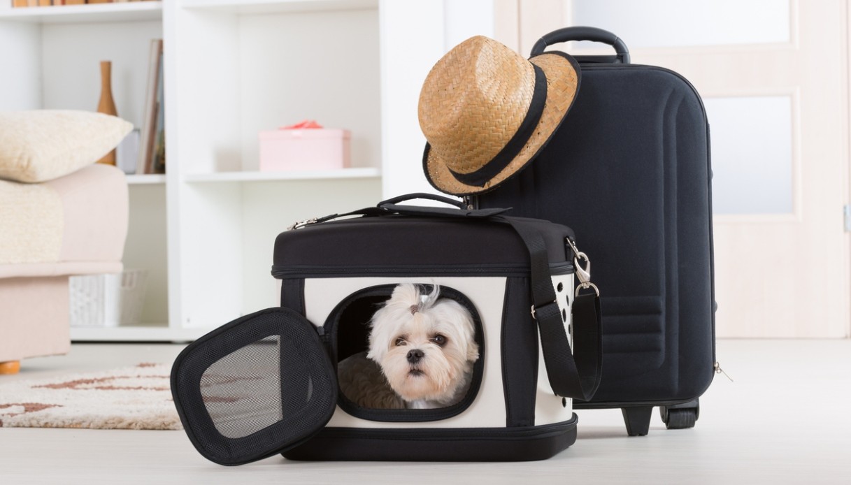 regole pet friendly in volo