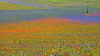 Color Walk: un viaggio tra colori e consapevolezza in Italia