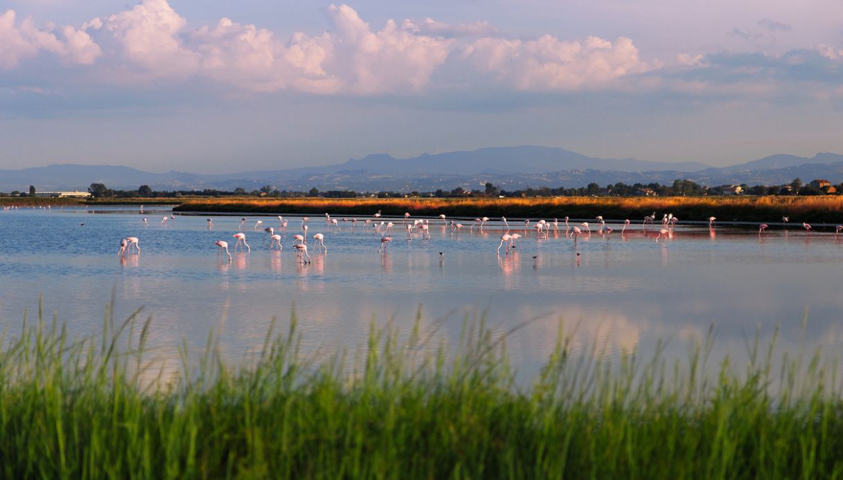 Parco della Salina di Cervia