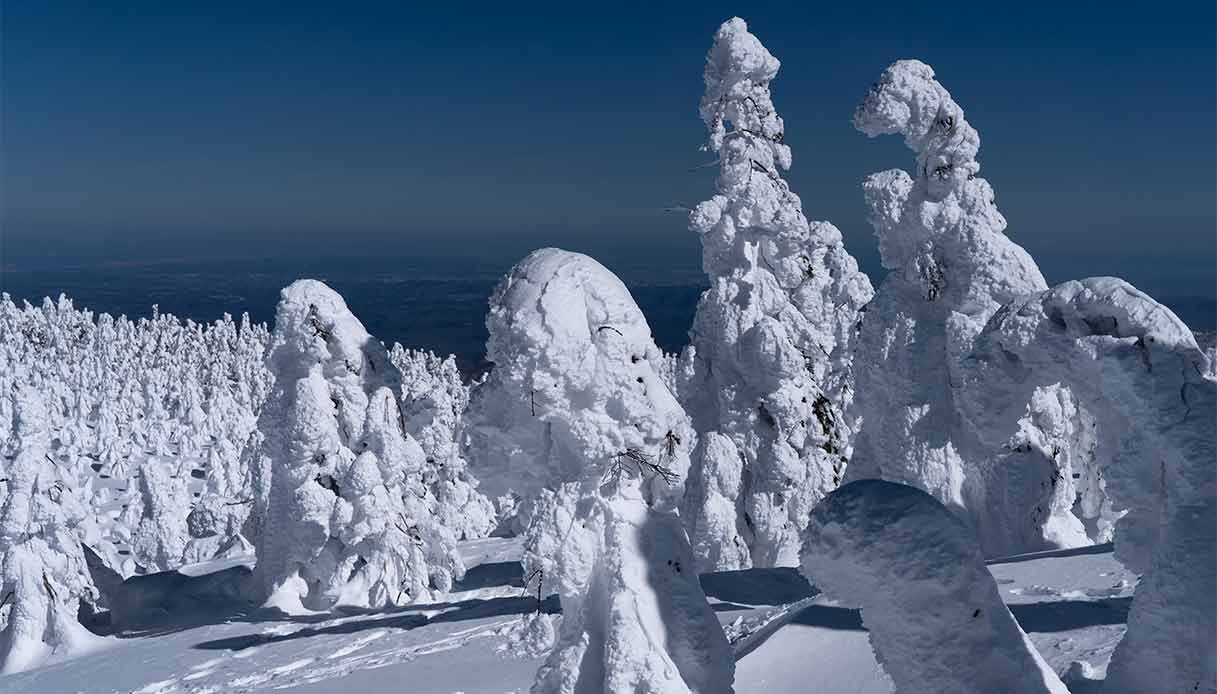 Juhyo-Monte-Zao-Giappone