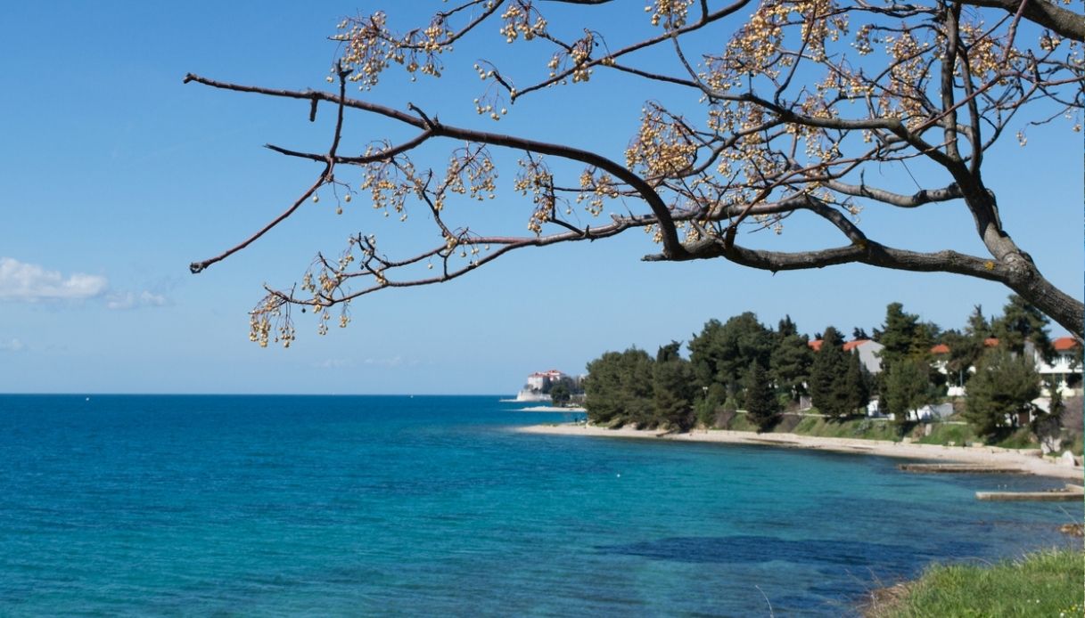 Spiagge di Zara: Kolovare Beach