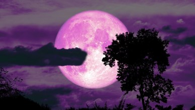 Arriva la Luna delle Fragole, come (e dove) osservarla al meglio