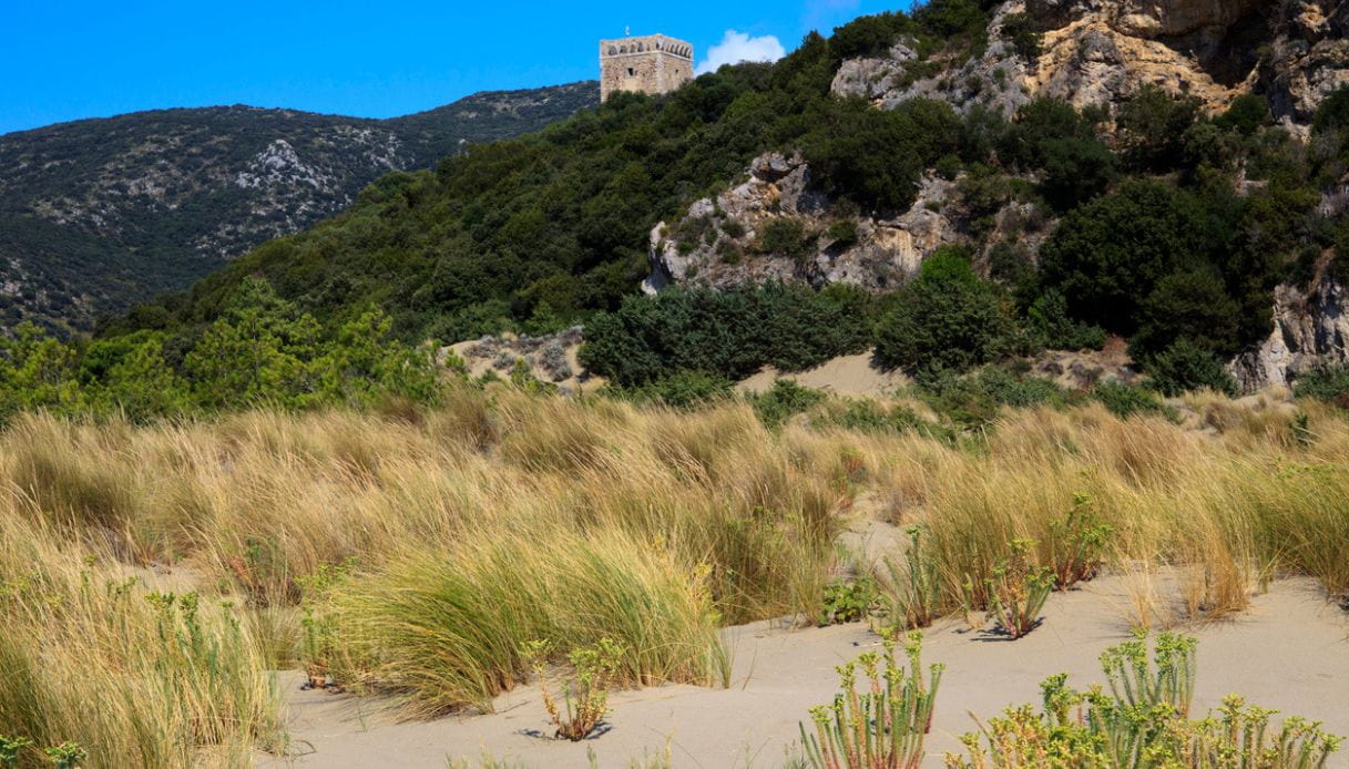Marina di Alberese, Parco della Maremma