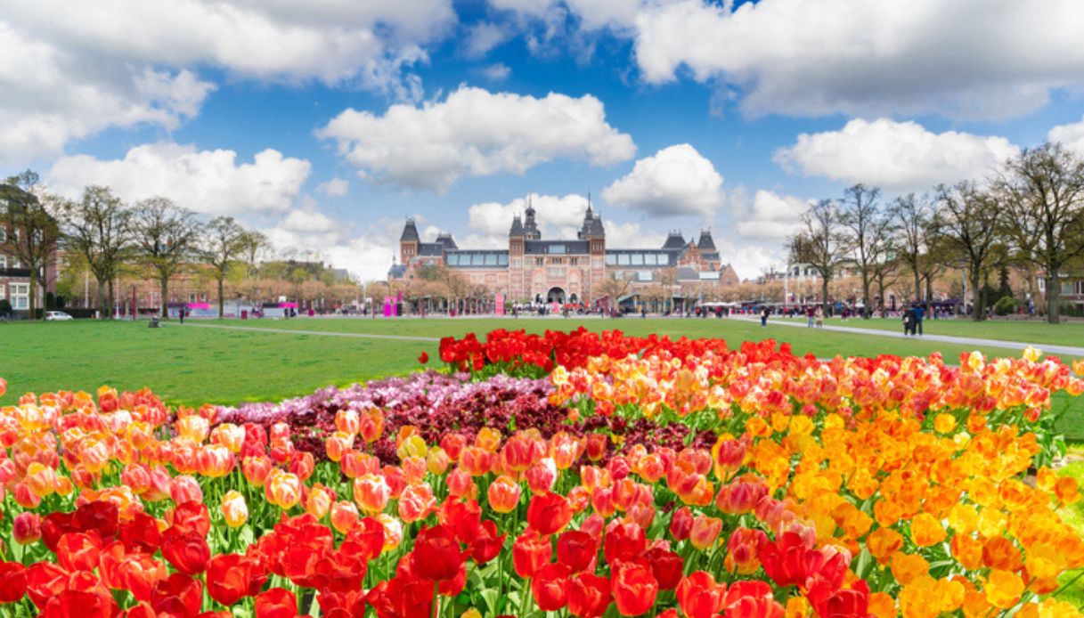 Prato fiorito al Rijksmuseum di Amsterdam, una delle cose da vedere ad Amsterdam in 3 giorni