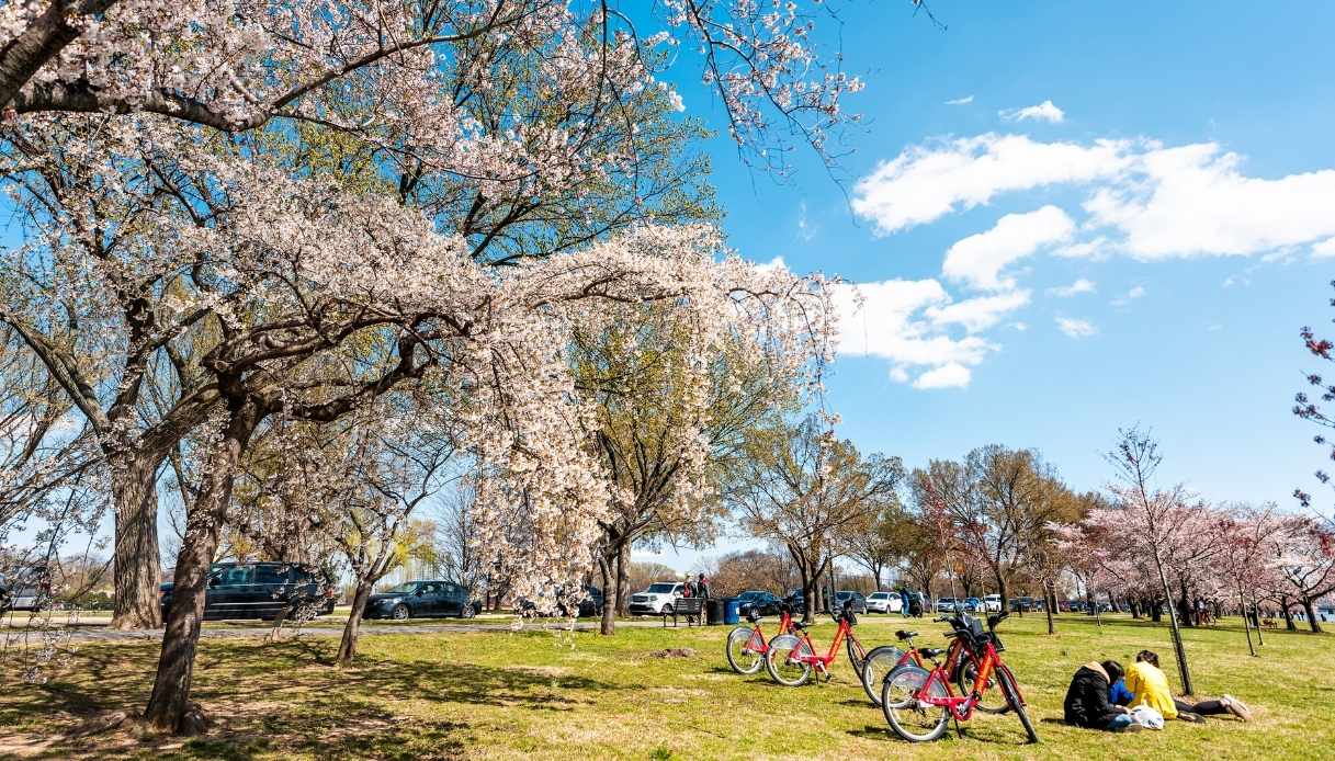 West Potomac Park in bicicletta