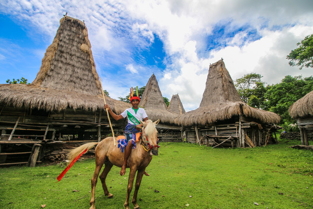 cavallo sumba