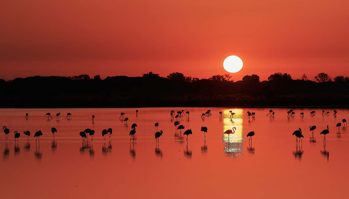 Esperienze low-cost da fare a Cervia