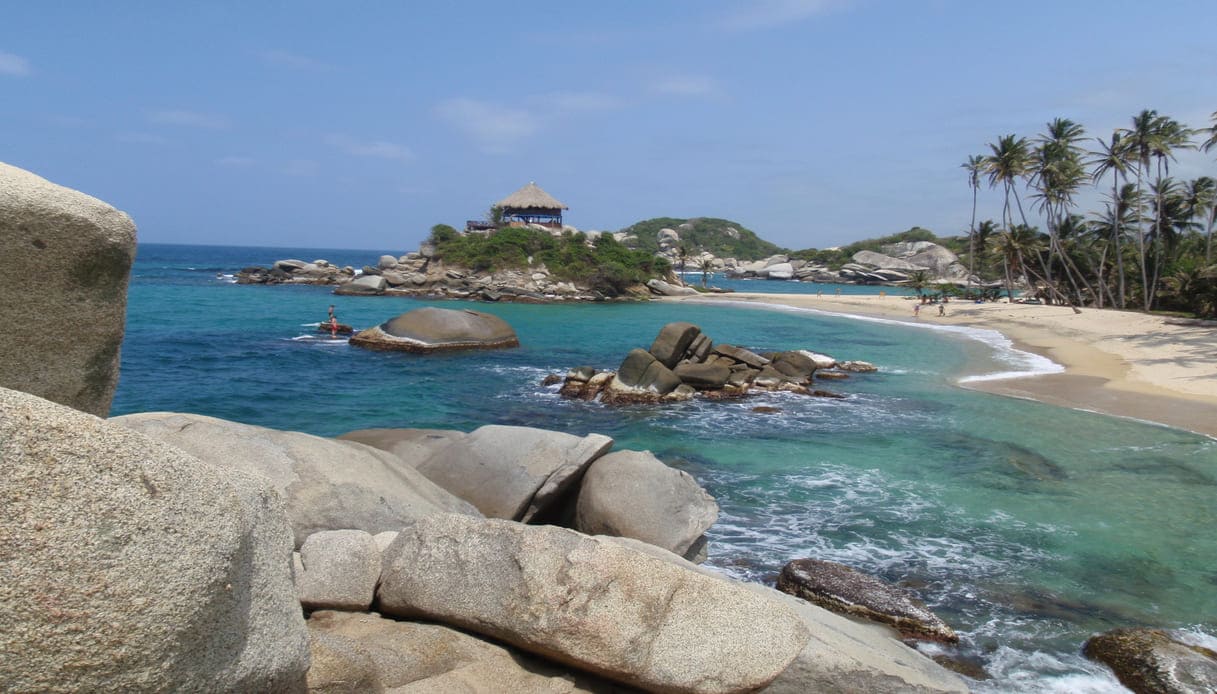 spiaggia ricoperta di giungla