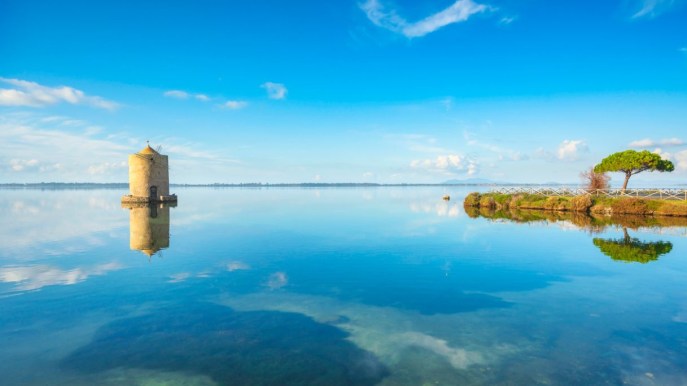 Laguna di Orbetello, rifugio di luce tra mare, dune e uccelli migratori