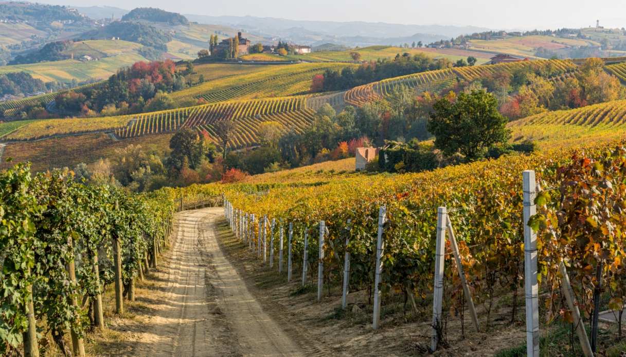 Cosa vedere a Barolo