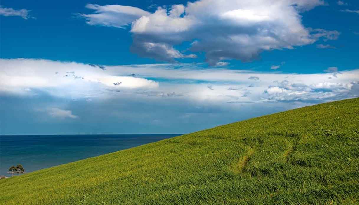riserva--borsacchio-natura
