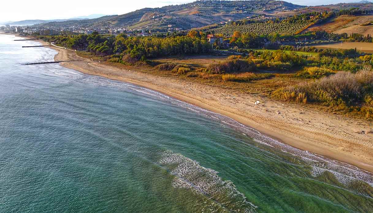 riserva--borsacchio-spiaggia