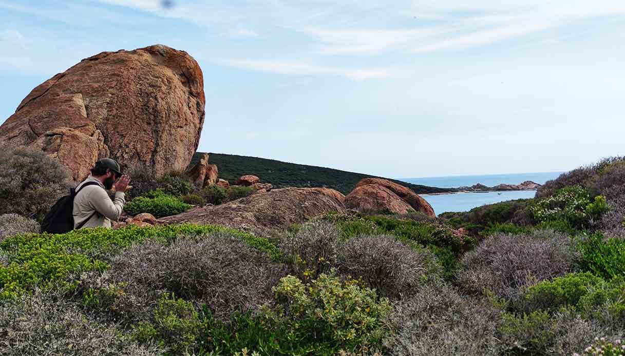 trekking-cape-to-cape-wa