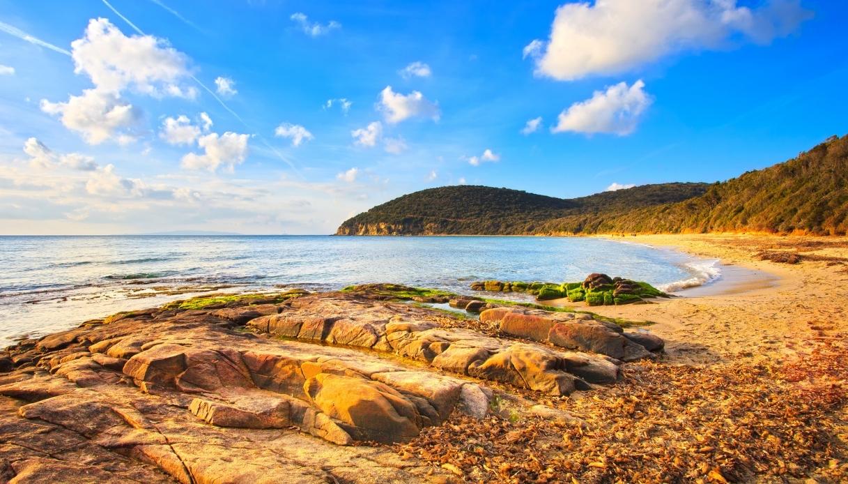 Cosa vedere in Toscana in estate: la spiaggia di Cala Violina